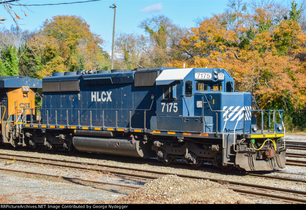 HLCX 7175